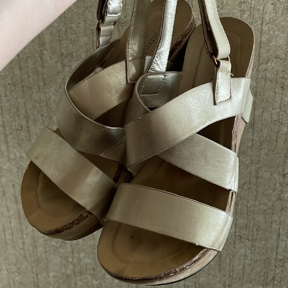 Pierre Dumas Hester-5 Leather Strap Wedges